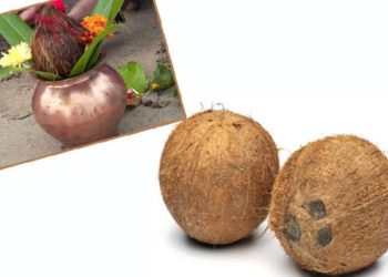 Women should not burnt coconut even after forgetting, know why it is considered inauspicious!
