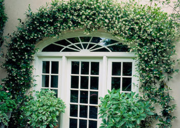 Do not forget to put a bell on the main entrance of the house, otherwise it may be inauspicious