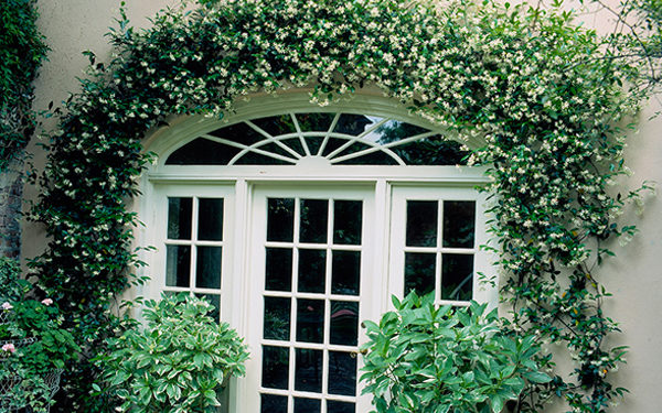 Do not forget to put a bell on the main entrance of the house, otherwise it may be inauspicious