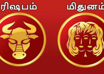 மே மாத ராசி பலன் 2020: ரிஷபத்திற்கு வருமானம், மிதுனத்திற்கு திடீர் அதிர்ஷ்டம் வரும் | May matha Rasi palan 2020 Tamil Rishapam and Mithunam Rasi