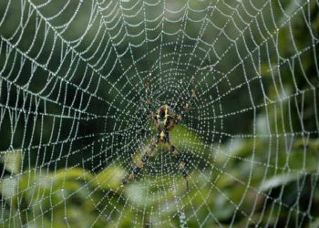 इन इशारों से समझे जल्द आने वाला है बुरा वक्त