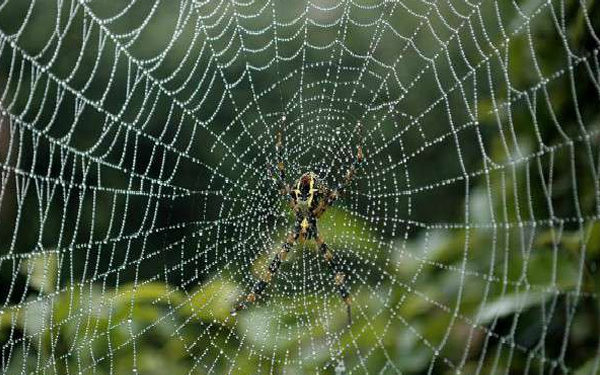 इन इशारों से समझे जल्द आने वाला है बुरा वक्त